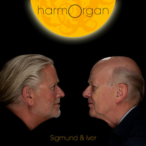 五月六月丁香婷婷激情
